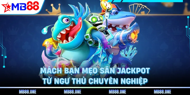 Mách bạn mẹo săn jackpot từ ngư thủ chuyên nghiệp